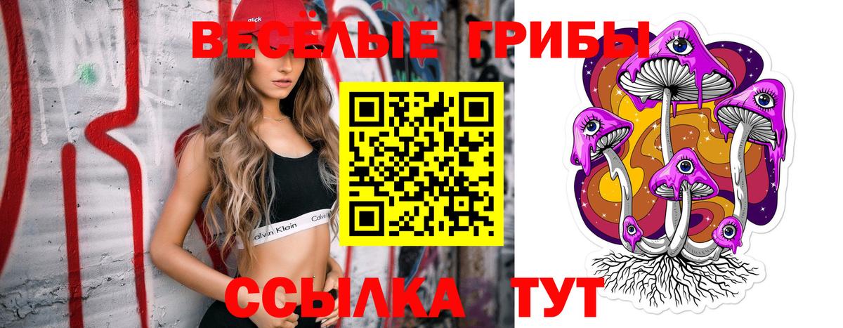 Галлюциногенные грибы мицелий Зерноград