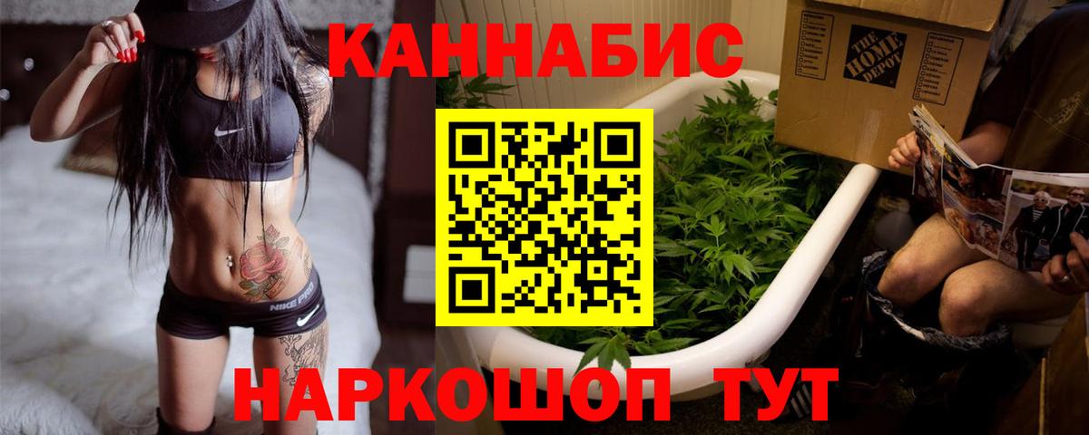 Канабис планчик Зерноград